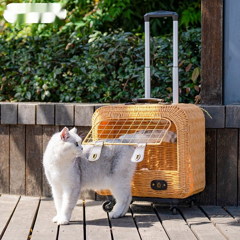 Why the Portable Woven Rattan Pet Carrier is a Must-Have for Pet Owners